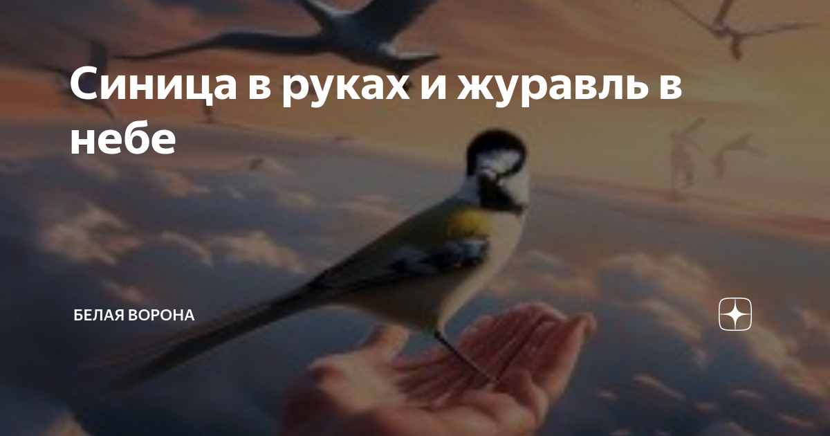 Синица в руках и журавль в небе | Белая ворона | Дзен