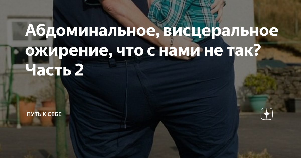 Абдоминальное, висцеральное ожирение, что с нами не так? Часть 2 | Путь ...