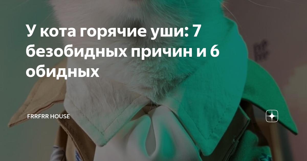 Простуда у кошек и котов: симптомы, лечение в домашних условиях | прокат-авто-стр.рф