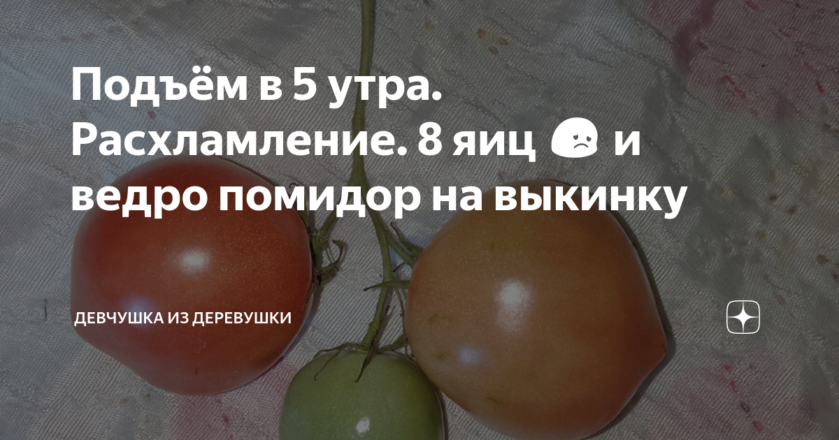 сколько капель йода на ведро воды для опрыскивания помидор