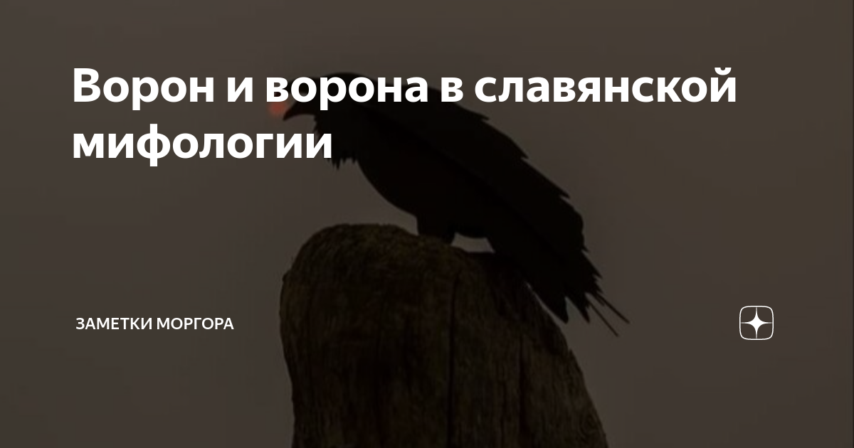 Ворон и ворона в славянской мифологии | Заметки Моргора | Дзен