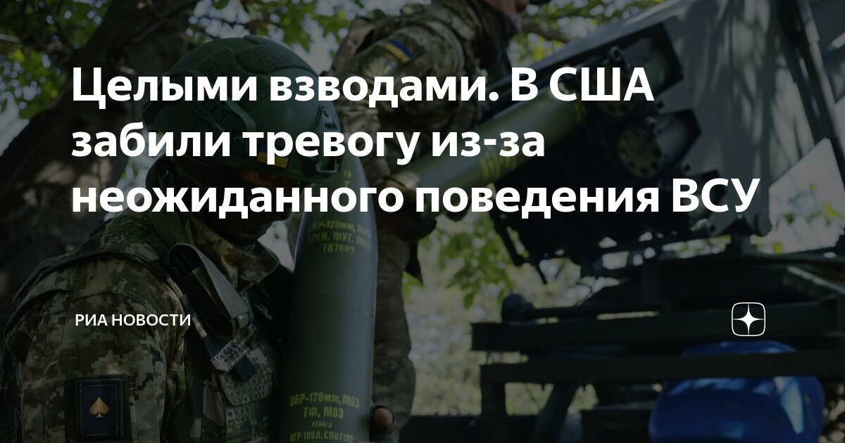 Забей сша