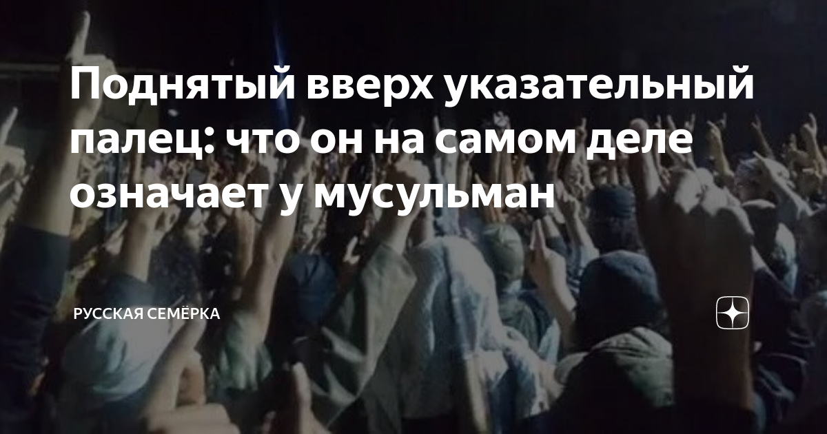 что означает поднятый вверх большой палец и мизинец