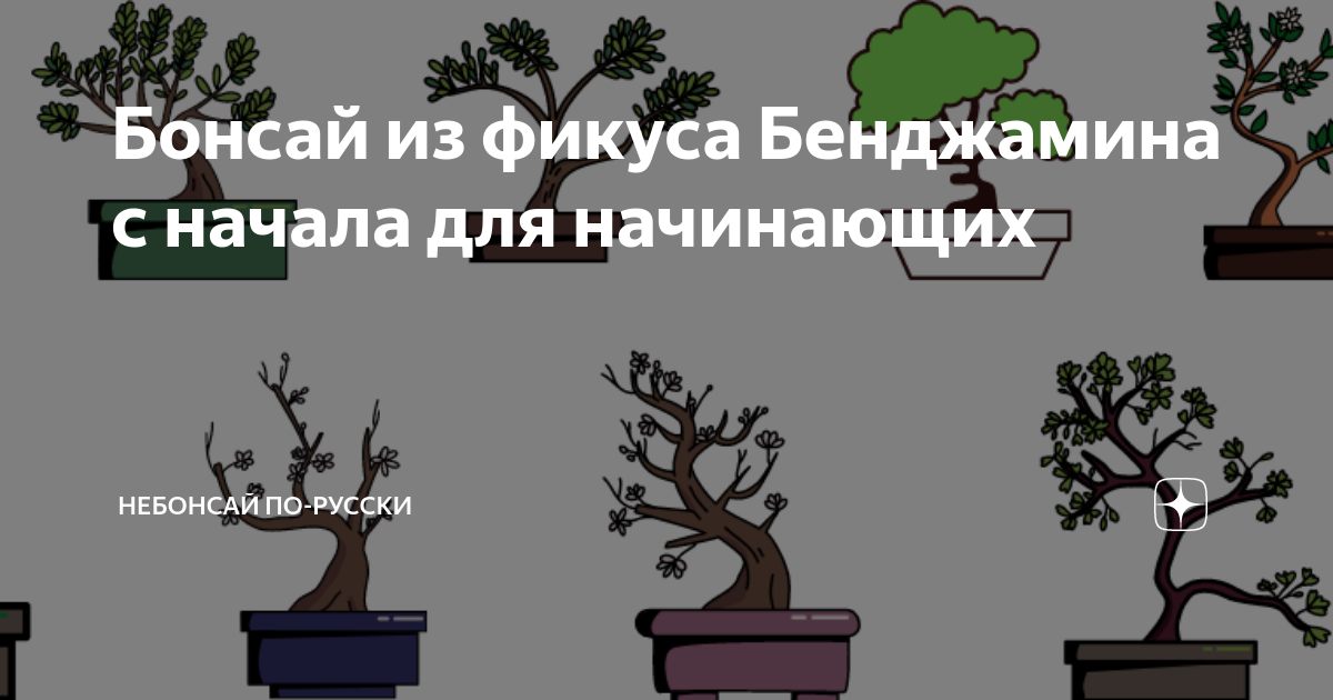 БОНСАЙ своими руками. Фикус Бенджамина. Дерево на камне.