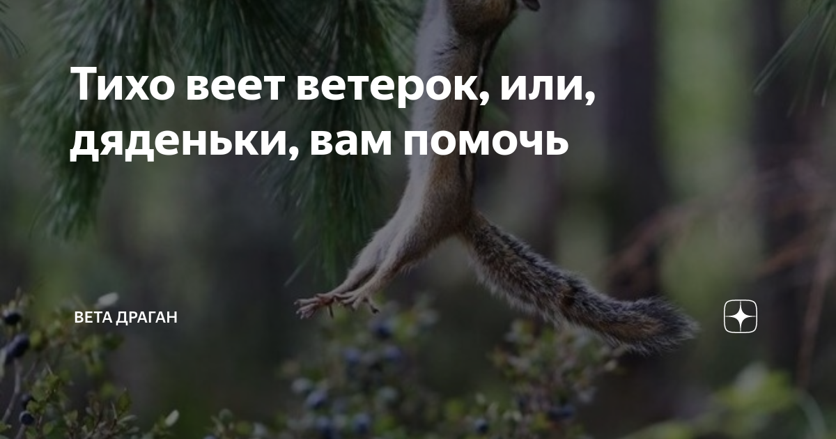 Тихо веет ветерок, или, дяденьки, вам помочь | Авторский канал Вета ...