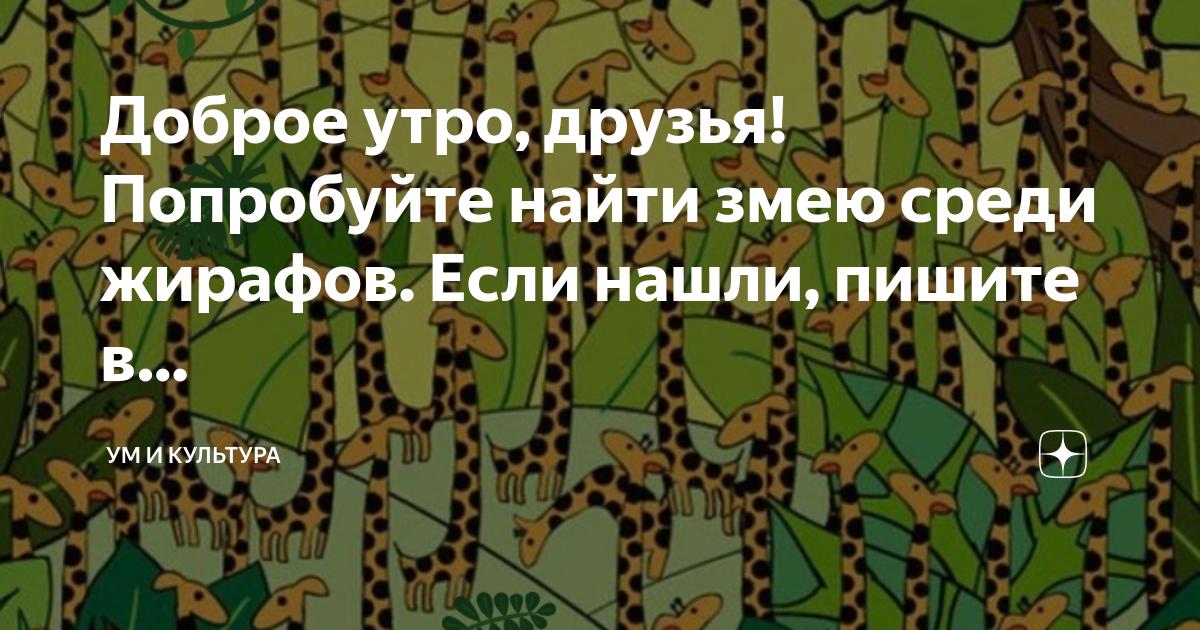 Доброе утро, друзья! Попробуйте найти змею среди жирафов. Если нашли ...