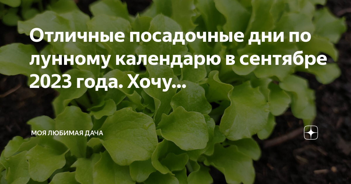 Посадочные дни на сентябрь 2024
