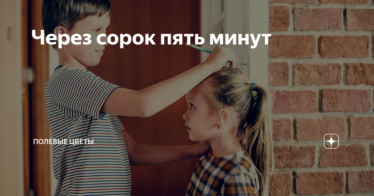 Через сорок пять минут | Полевые цветы | Дзен