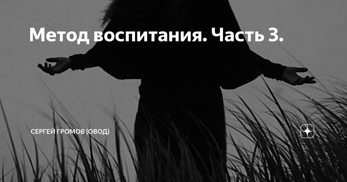 Метод воспитания. Часть 3. | Сергей Громов (Овод) | Дзен