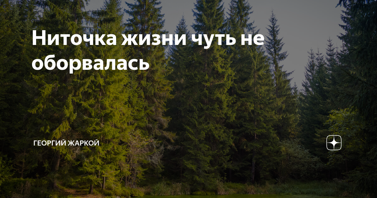 Ниточка жизни чуть не оборвалась | Георгий Жаркой | Дзен
