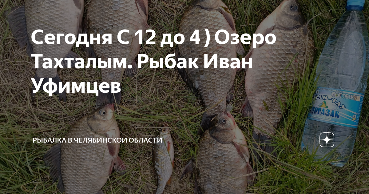 Самый на 250 гр. Озеро Айдыкуль. Рыбак Любовь Кашапова Рыбалка в челябинской обл