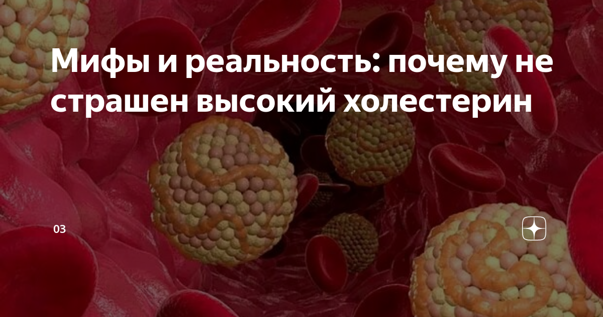 Миф 1: Холестерин вреден для здоровья