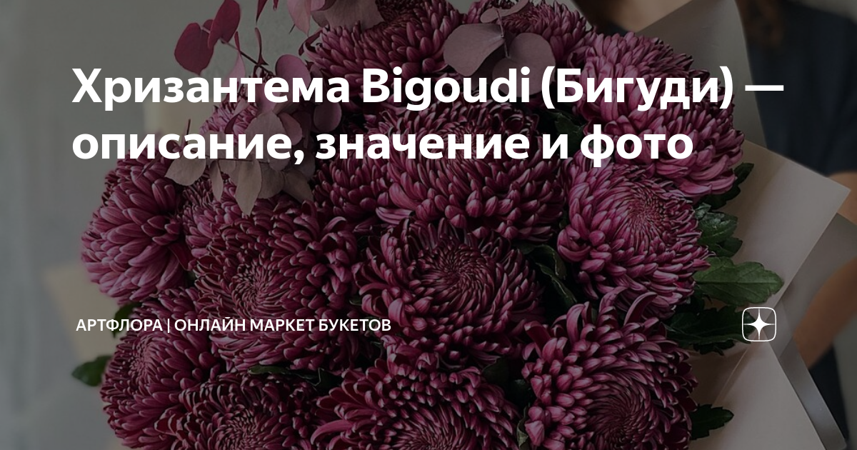 Хризантема Bigoudi (Бигуди) — описание, значение и фото | АртФлора ...
