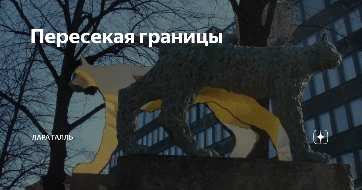 Пересекая границы | Лара Галль | Дзен