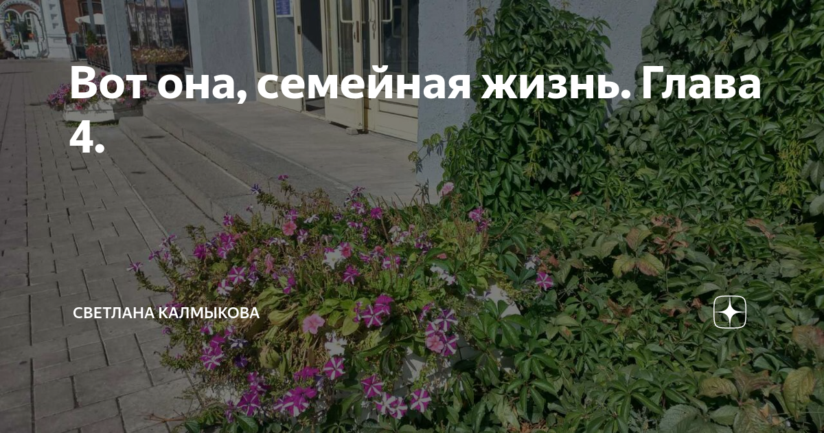 Вот она, семейная жизнь. Глава 4. | Светлана Калмыкова | Дзен