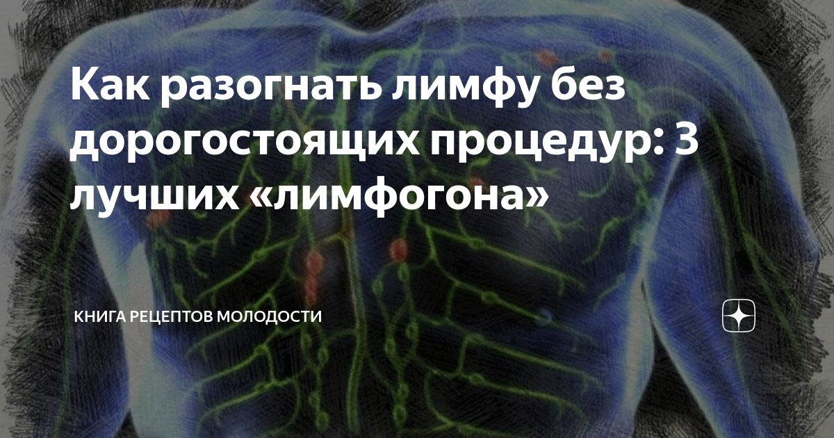 Как разогнать лимфу без дорогостоящих процедур: 3 лучших «лимфогона ...