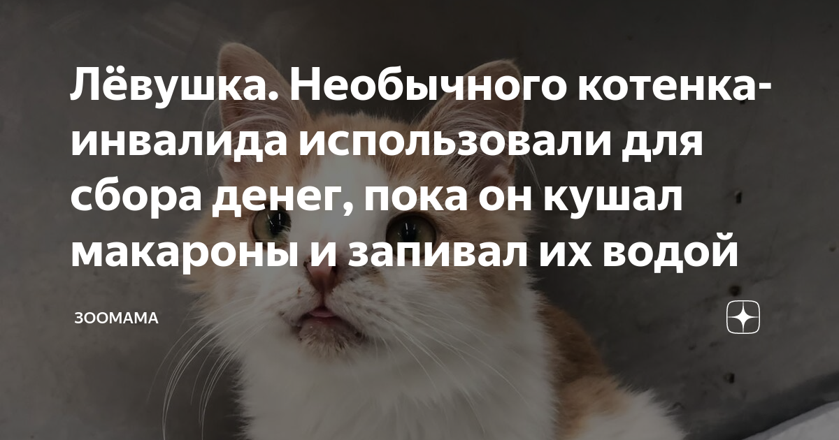 Желаю чтобы возможности совпадали с желаниями. Пользуясь возможностью хочу. Наши желания с нашими возможностями. Тост про желания и возможности. Оптимистичные рисунки.