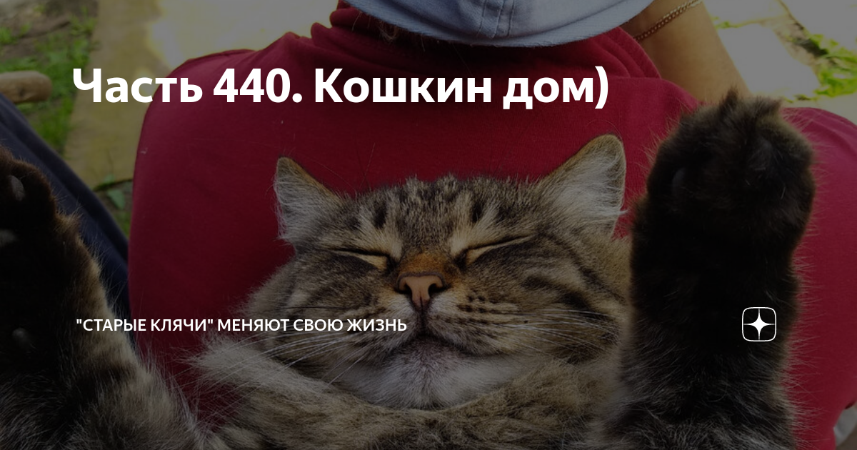 Часть 440. Кошкин дом) | "Старые клячи" | Дзен