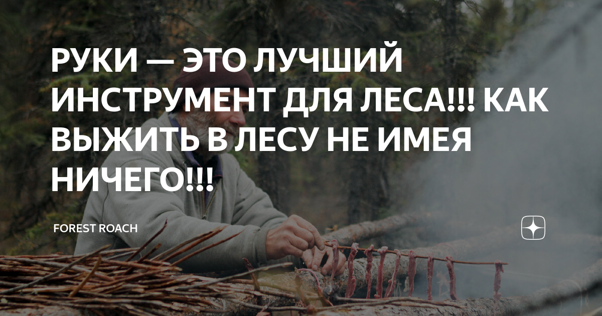 РУКИ — ЭТО ЛУЧШИЙ ИНСТРУМЕНТ ДЛЯ ЛЕСА!!! КАК ВЫЖИТЬ В ЛЕСУ НЕ ИМЕЯ ...