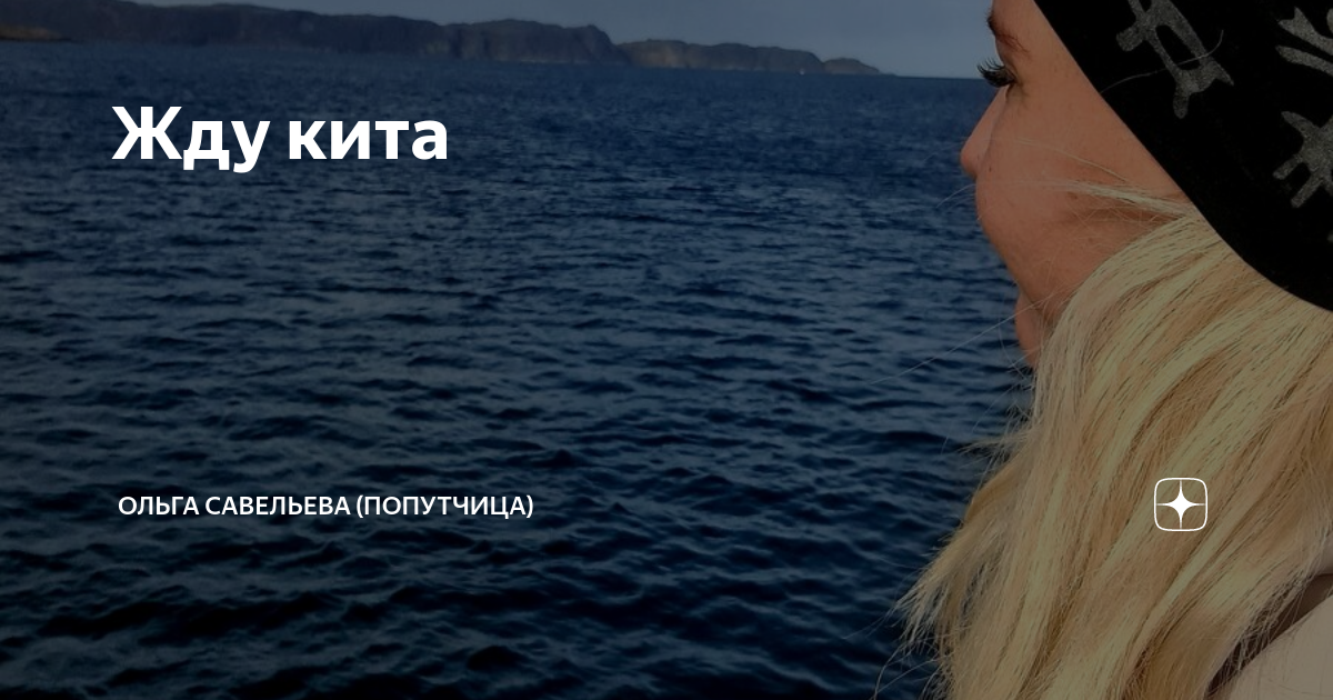 Жду кита | ОЛЬГА САВЕЛЬЕВА (ПОПУТЧИЦА) | Дзен