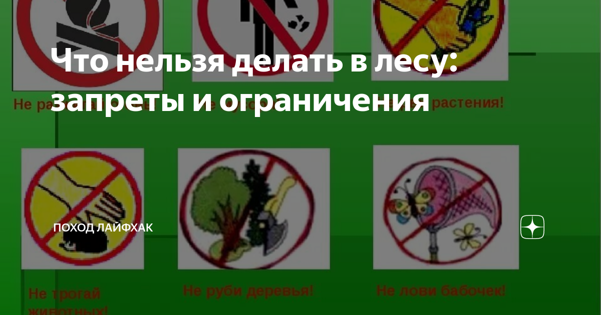 Чем опасен мусор в лесу? | Министерство природных ресурсов и экологии Чувашской Республики