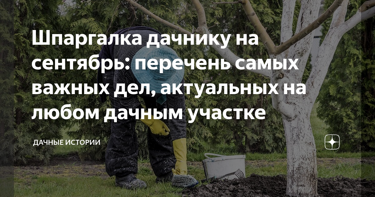 Шпаргалка дачнику на сентябрь: перечень самых важных дел, актуальных на ...