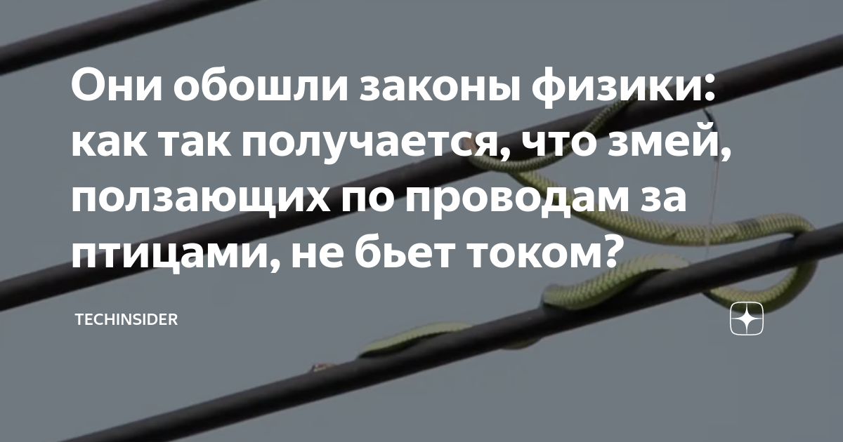 12 «почему», ответы на которые вы хотели бы знать, но забывали погуглить