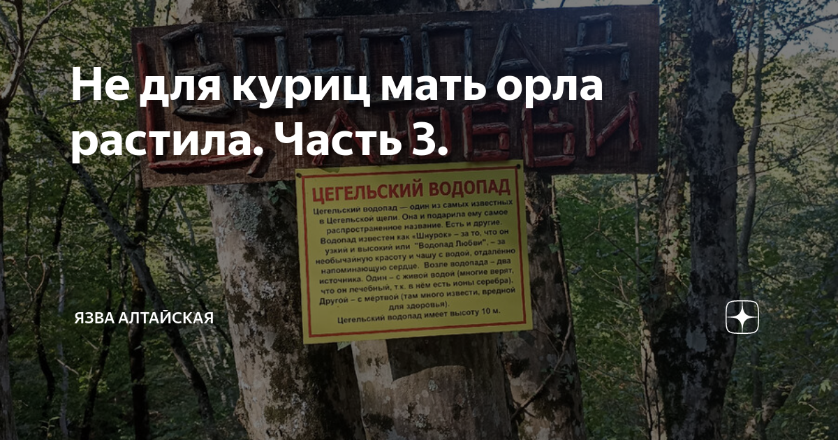 я пила и курила пока не знала что беременна