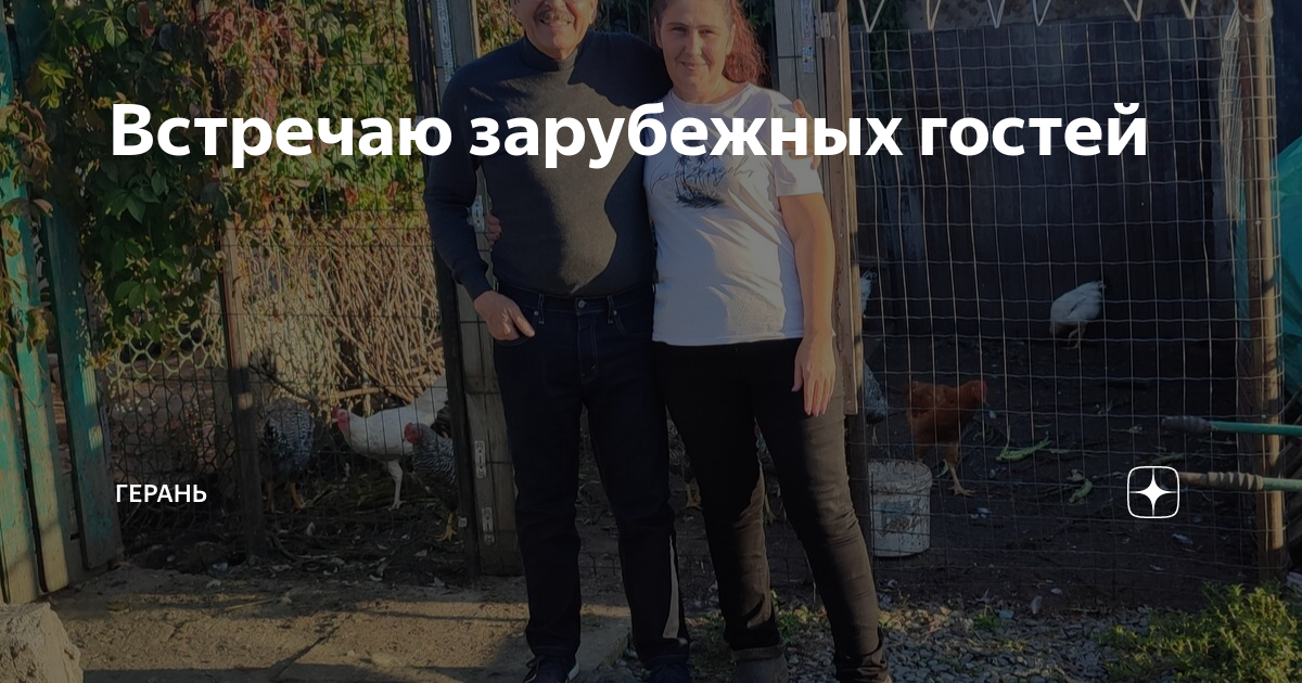 Встречаю зарубежных гостей | Герань | Дзен