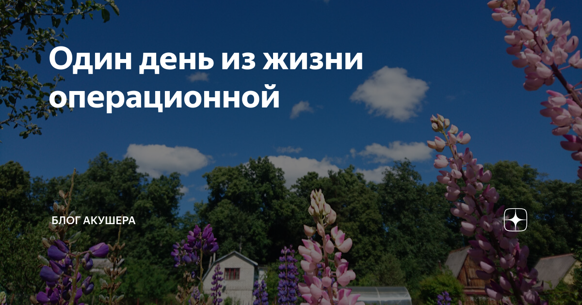 Один день из жизни операционной | Блог акушера | Дзен