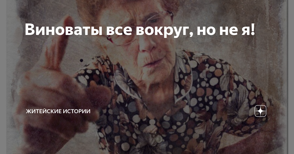 Виноваты все вокруг, но не я! | Житейские истории | Дзен