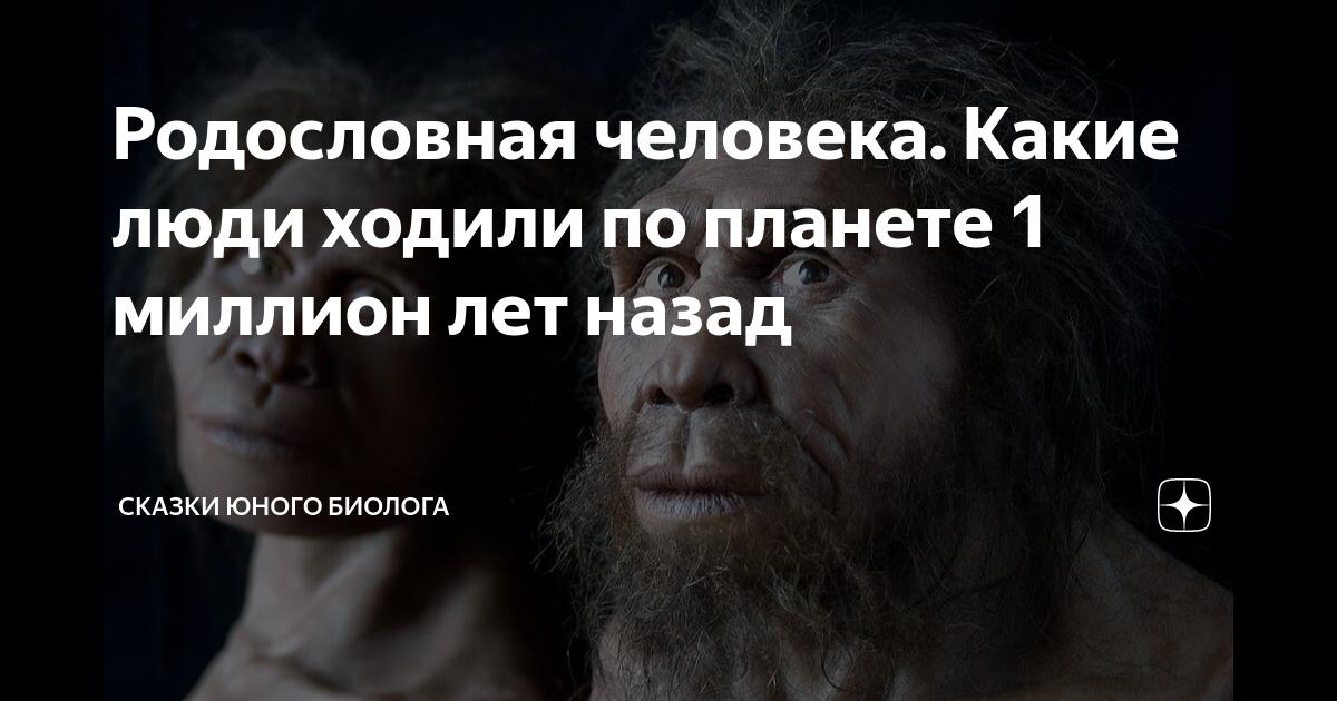 сколько млн лет назад появились люди