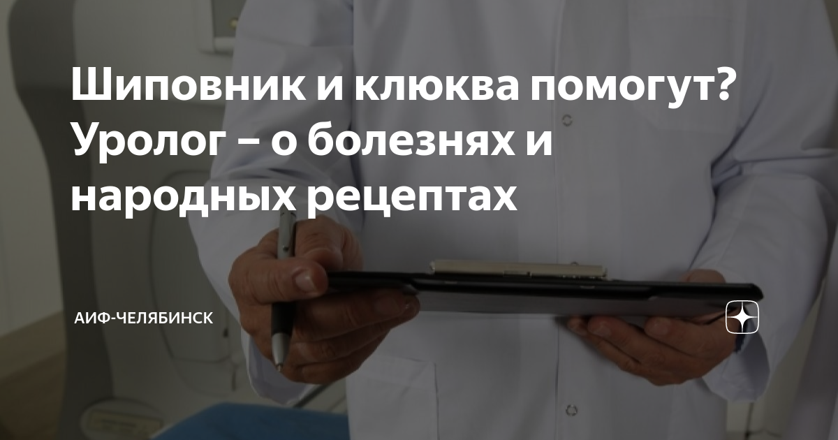 Шиповник и клюква помогут? Уролог – о болезнях и народных рецептах | АиФ-Челябинск | Дзен