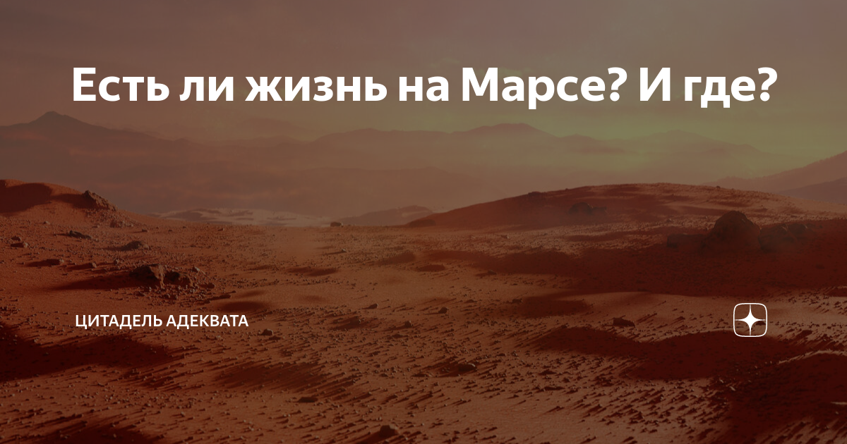 Есть ли жизнь на Марсе? И где? | Цитадель адеквата | Дзен