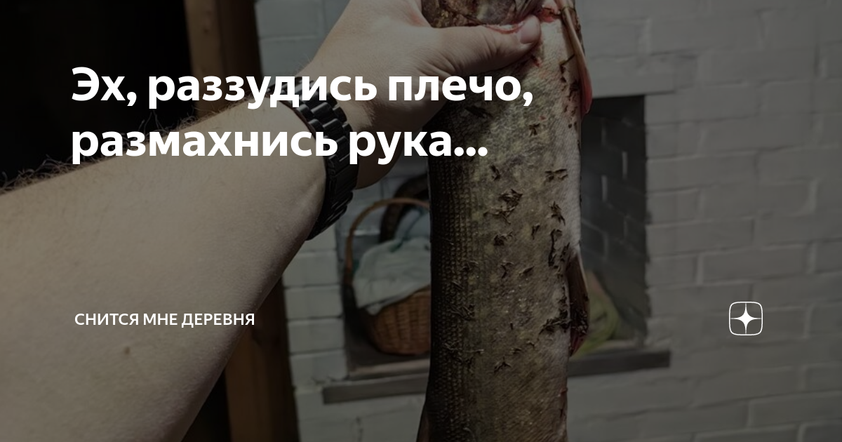 Эх, раззудись плечо, размахнись рука... | Снится мне деревня | Дзен