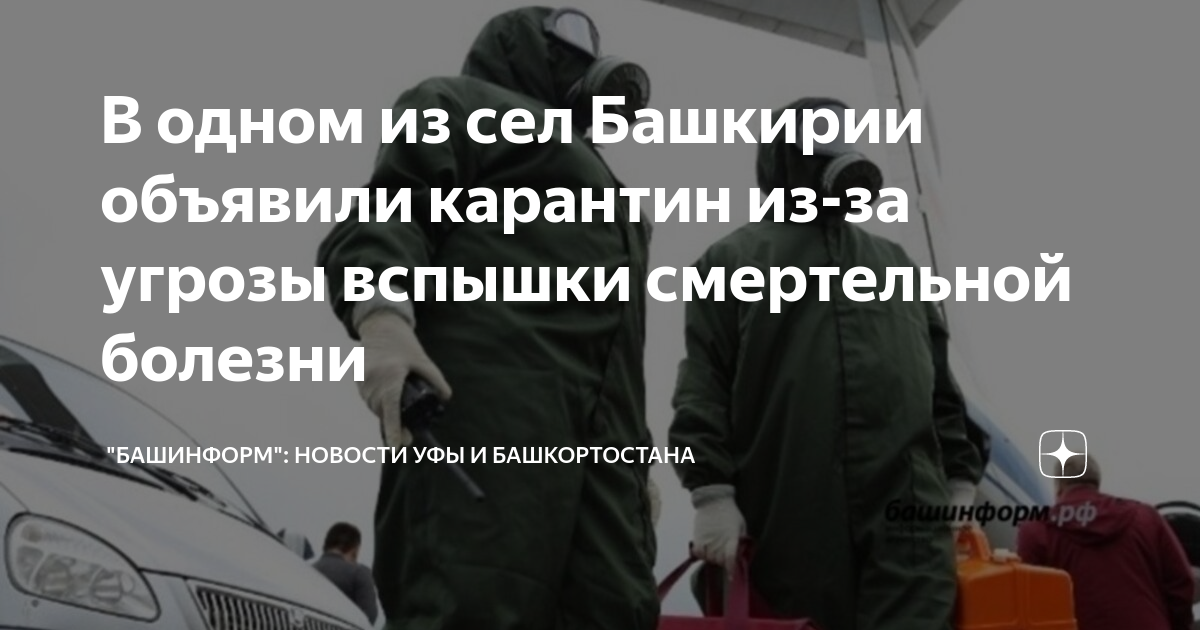 В одном из сел Башкирии ввели карантин по бешенству