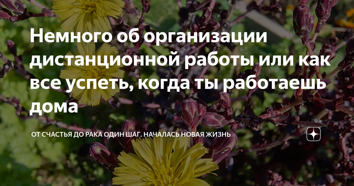 Немного об организации дистанционной работы или как все успеть, когда