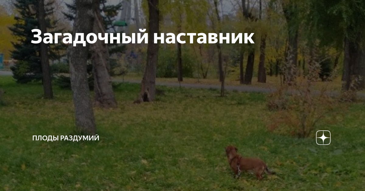 Загадочный наставник | Плоды раздумий | Дзен