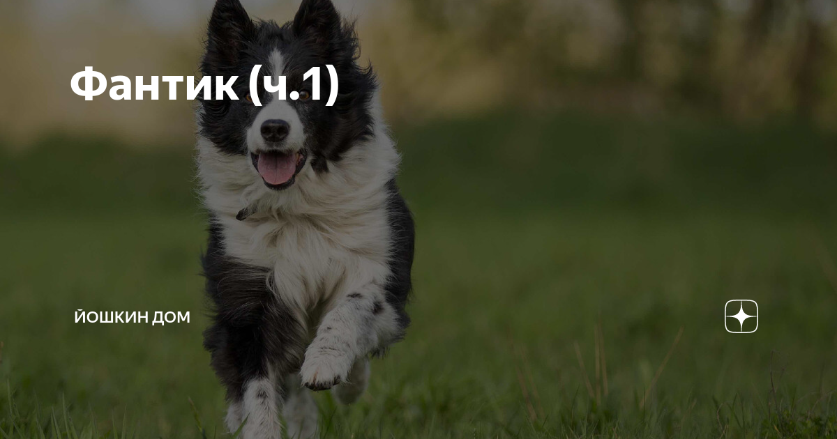 Фантик (ч.1) | Йошкин Дом | Дзен