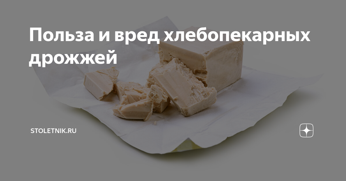 Почему дрожжи незаменимы в хлебопечении. Хлебопекарные дрожжи вред.