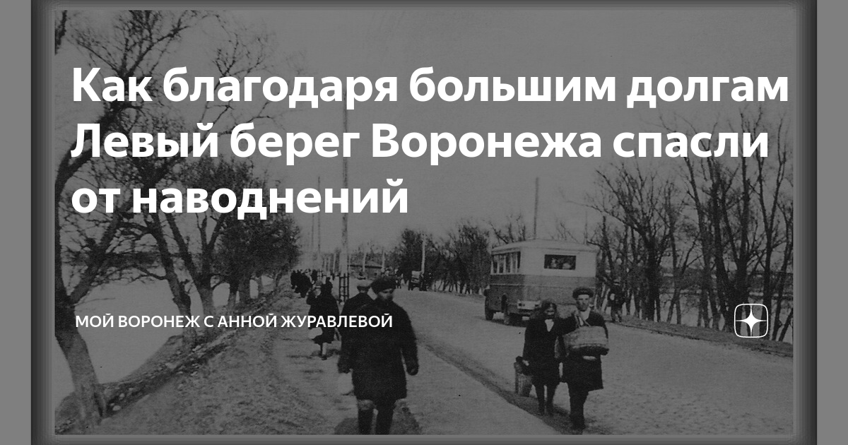 Как благодаря большим долгам Левый берег Воронежа спасли от наводнений