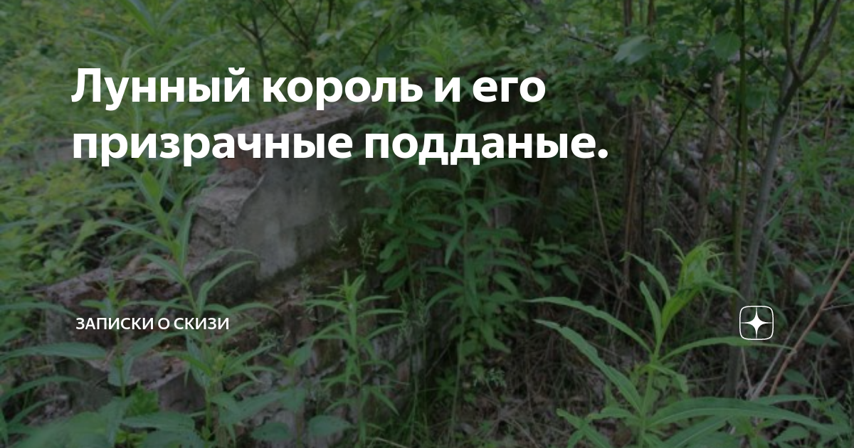 Лунный король и его призрачные подданые. | Записки о Скизи | Дзен