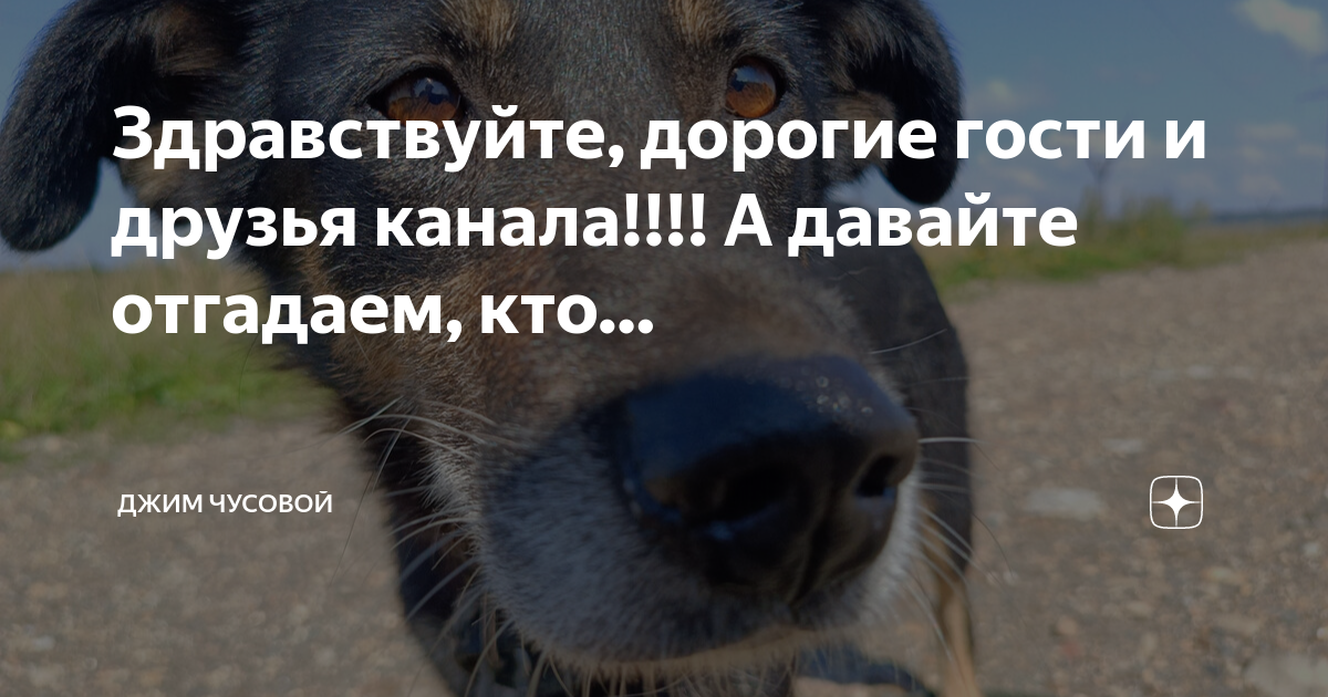 Здравствуйте, дорогие гости и друзья канала!!!! А давайте отгадаем, кто ...