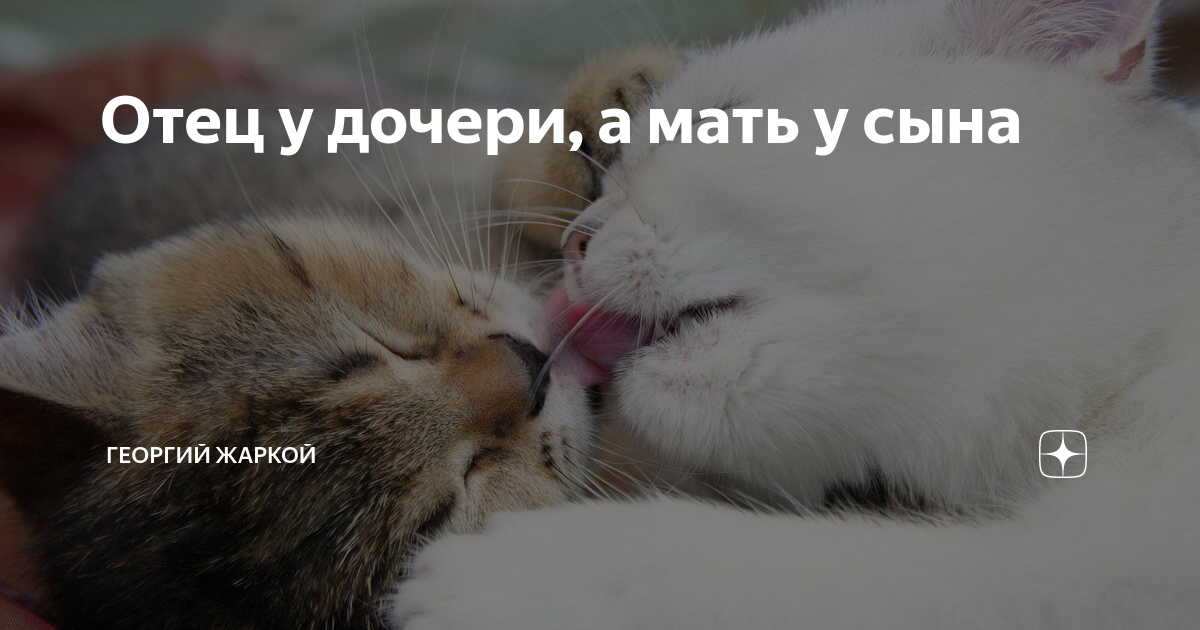 спасибо за сына и за дочь ну ка все вместе дмитрий