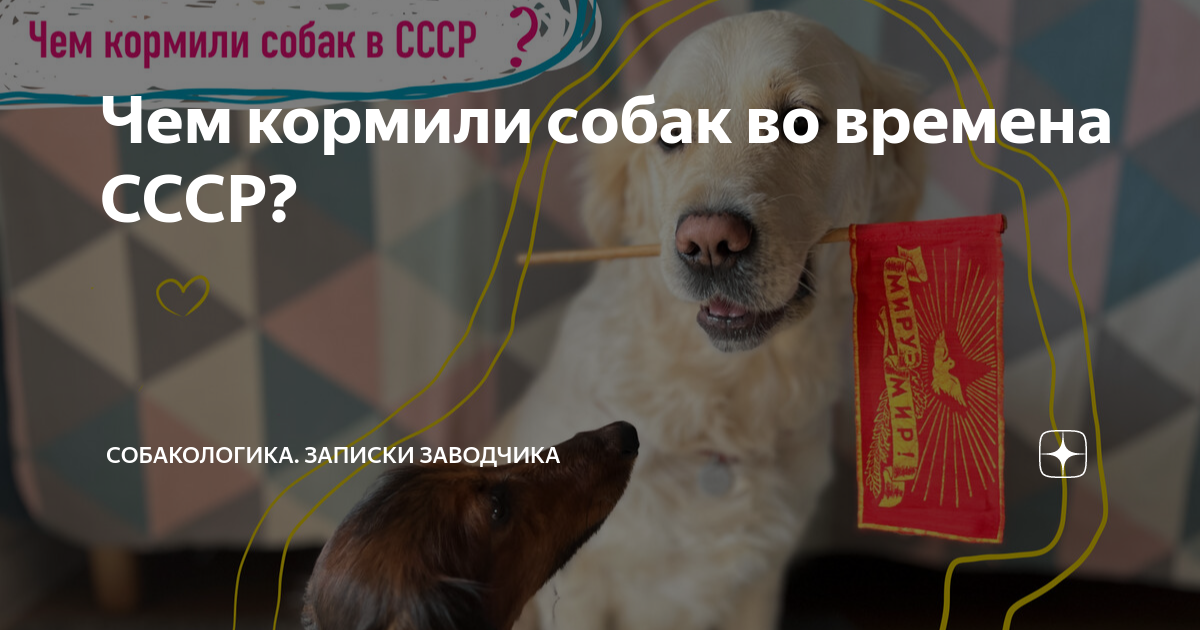 кто вёл передачу в мире животных в ссср