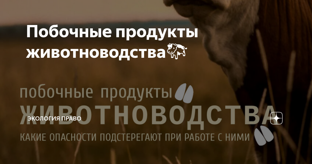 Побочный продукт животноводства уведомление. Побочный продукт животноводства уведомление
