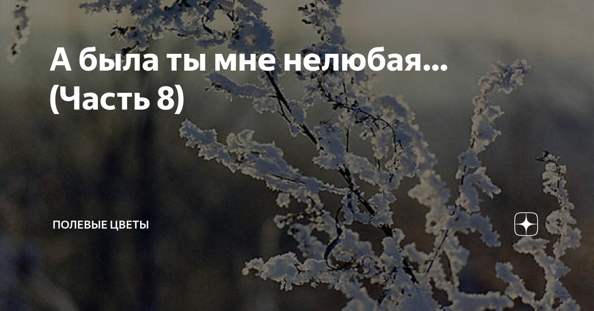 я начала собрав детали что меня здесь не любили