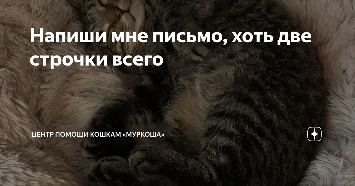 песня напиши мне письмо хоть две строчки всего