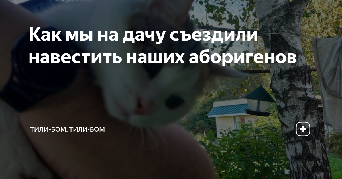 Как мы на дачу съездили навестить наших аборигенов | Тили-бом, тили-бом ...