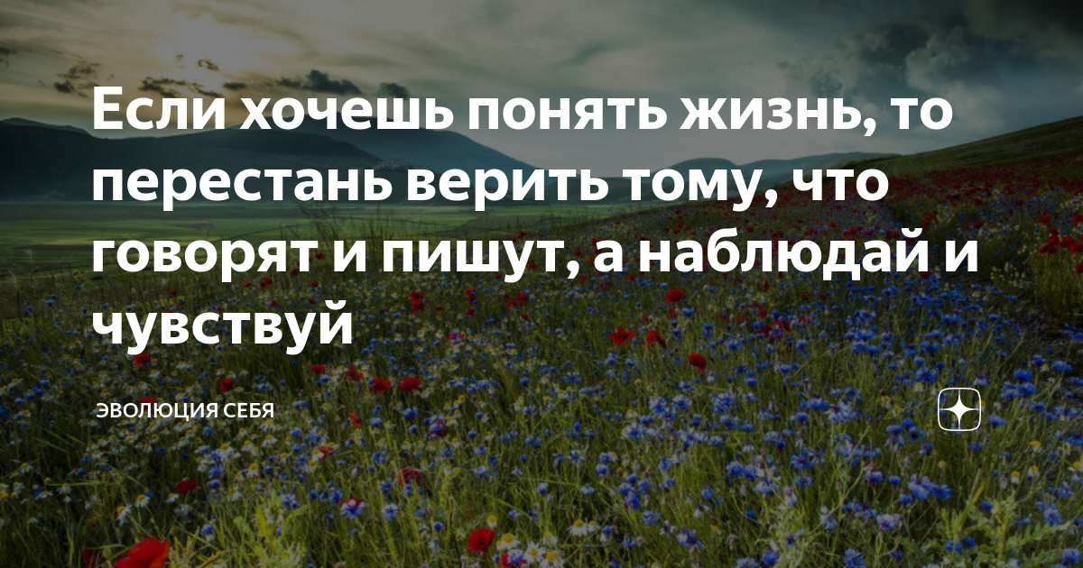 Концепция счастья. В моем понимании жизнь это. Смысл жизни это кратко. Понимание жизни. Черствость это определение.